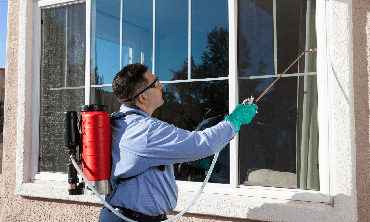 How to Keep Lizards Out of Your Garage A Comprehensive Guide