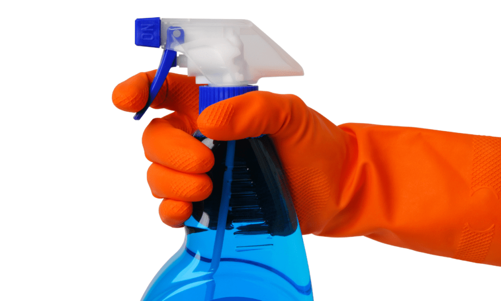 How to Keep Lizards Out of Your Garage A Comprehensive Guide