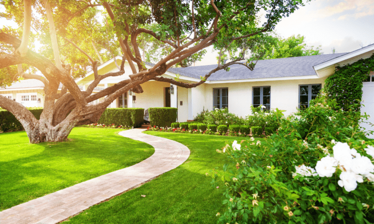 Home Putting green