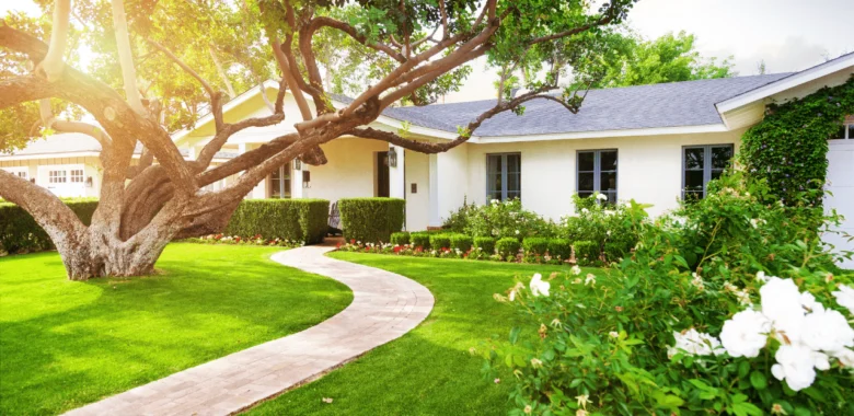 Home Putting green