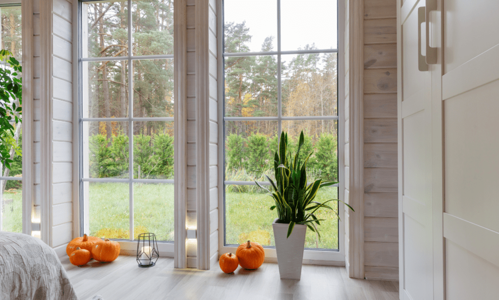 Interior Home Windows