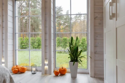 Interior Home Windows