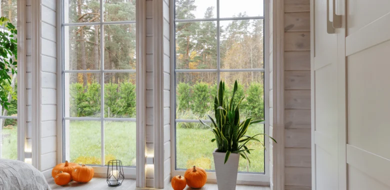 Interior Home Windows