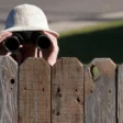 A Peek Beyond the Fence