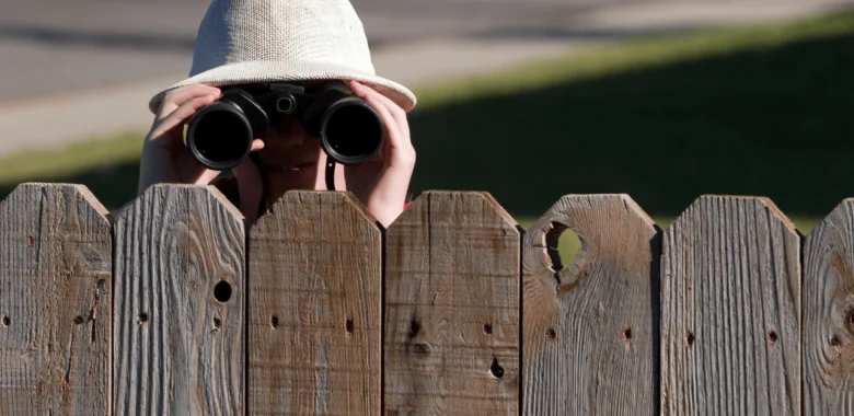A Peek Beyond the Fence