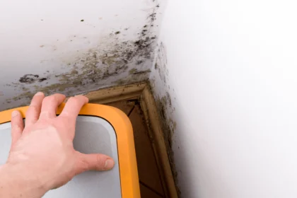 Pine-Sol and Mold