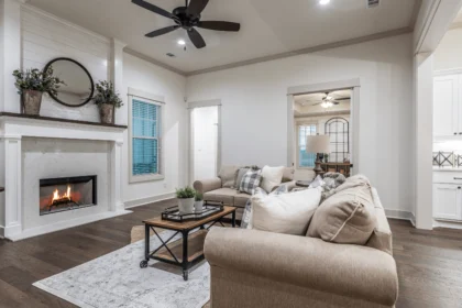 Living Roo Inspiring Ideas