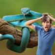 Snake control