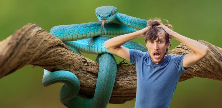 Snake control